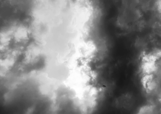 FABRICA: MUSICA E LETTERATURA. EREMIA 1