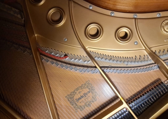 FABRICA: MUSICA E LETTERATURA I