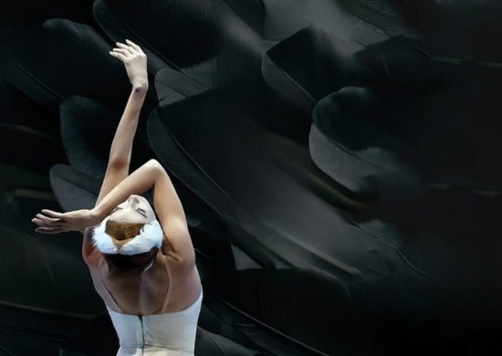 IL LAGO DEI CIGNI-ROMA CITY BALLET